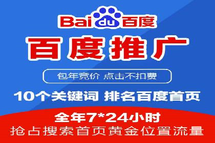 行业领先企业的SEM竞价代运营案例解析